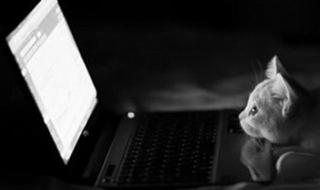 笔记本电脑键盘乱码 笔记本电脑键盘乱码