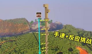 星立方成绩查询平台 星立方成绩查询平台