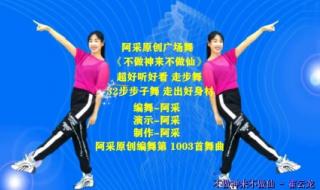 不做神来不做仙原唱 不做神来不做仙原唱