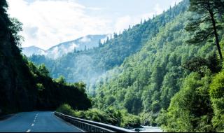 神经侠侣片尾曲