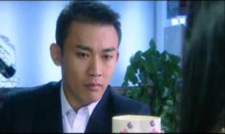 像风一样离去大结局