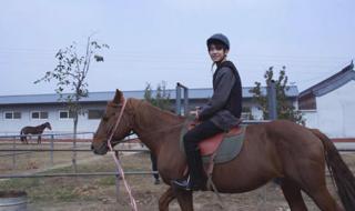 少女时代骑马舞 少女时代骑马舞